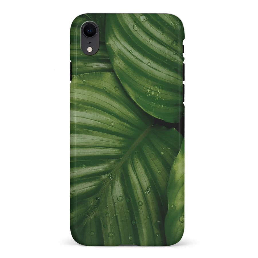 iPhone XR Leafy Lines One Phone Case