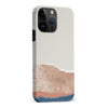 iPhone 15 Pro Max Desert Blooms Abstract Phone Case