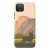 Google Pixel 4 The Rockies Phone Case