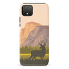 Google Pixel 4 XL The Rockies Phone Case
