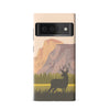 Google Pixel 6 The Rockies Phone Case
