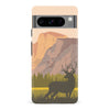 Google Pixel 8 Pro The Rockies Phone Case