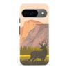 Google Pixel 9 The Rockies Phone Case