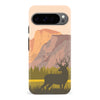 Google Pixel 9 Pro The Rockies Phone Case