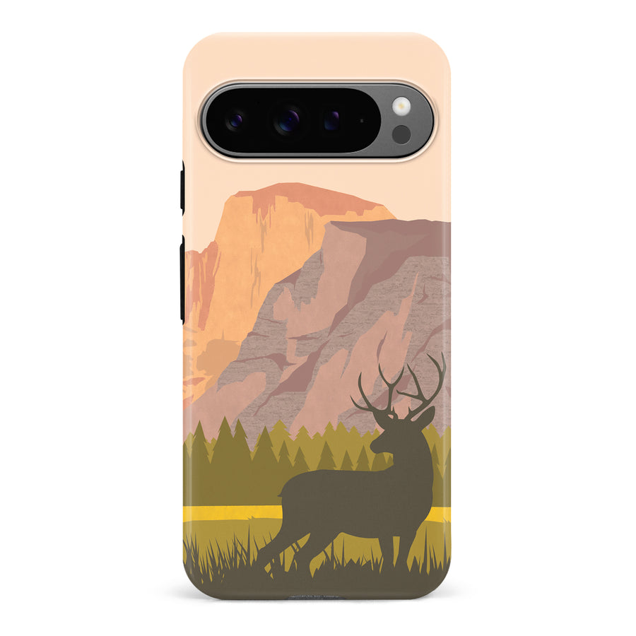Google Pixel 9 Pro The Rockies Phone Case