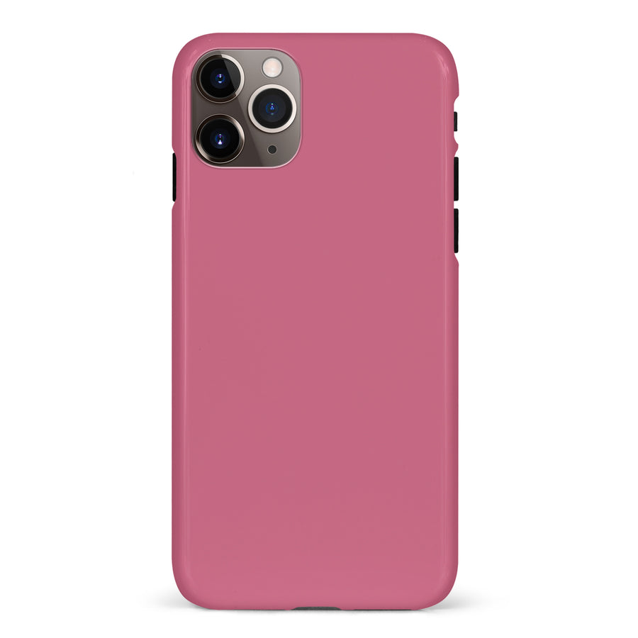 iPhone 11 Pro Max Dragon Fruit Colour Trend Phone Case