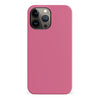 iPhone 13 Pro Max Dragon Fruit Colour Trend Phone Case