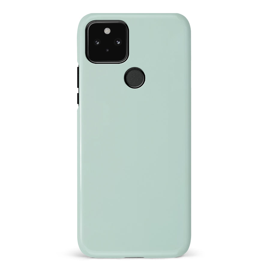 Google Pixel 5 Eucalyptus Colour Trend Phone Case