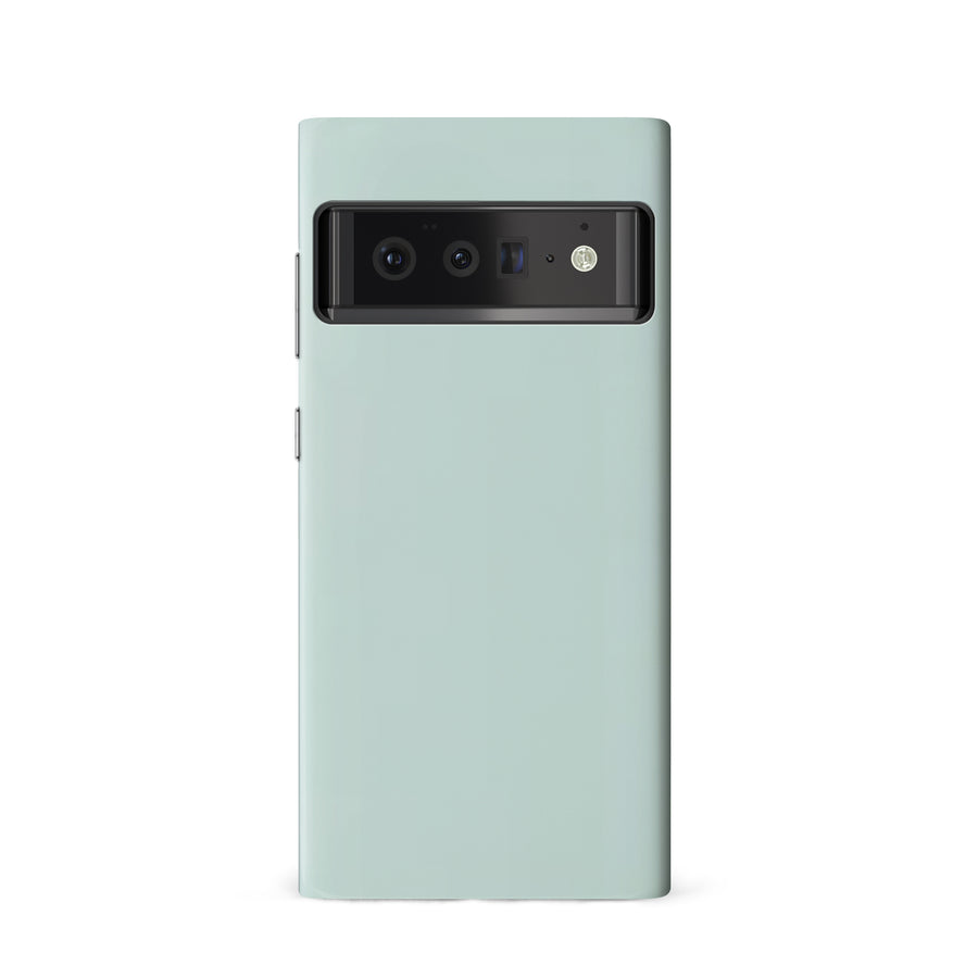 Google Pixel 6 Eucalyptus Colour Trend Phone Case