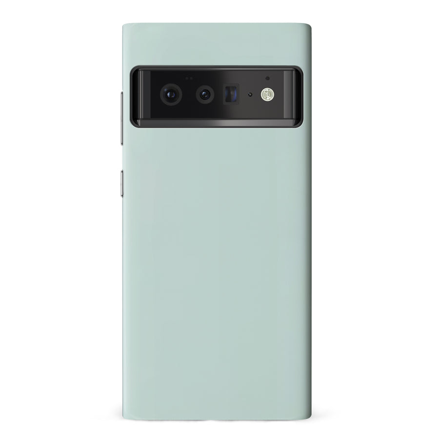 Google Pixel 6 Pro Eucalyptus Colour Trend Phone Case