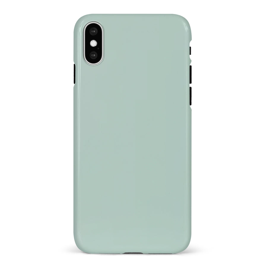 iPhone X/XS Eucalyptus Colour Trend Phone Case