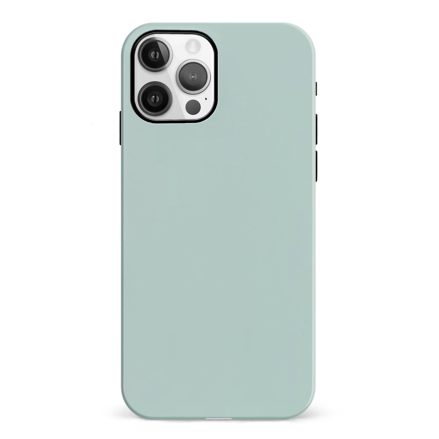 iPhone 12 Eucalyptus Colour Trend Phone Case
