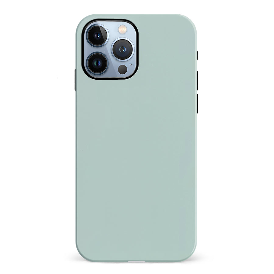 iPhone 12 Pro Eucalyptus Colour Trend Phone Case