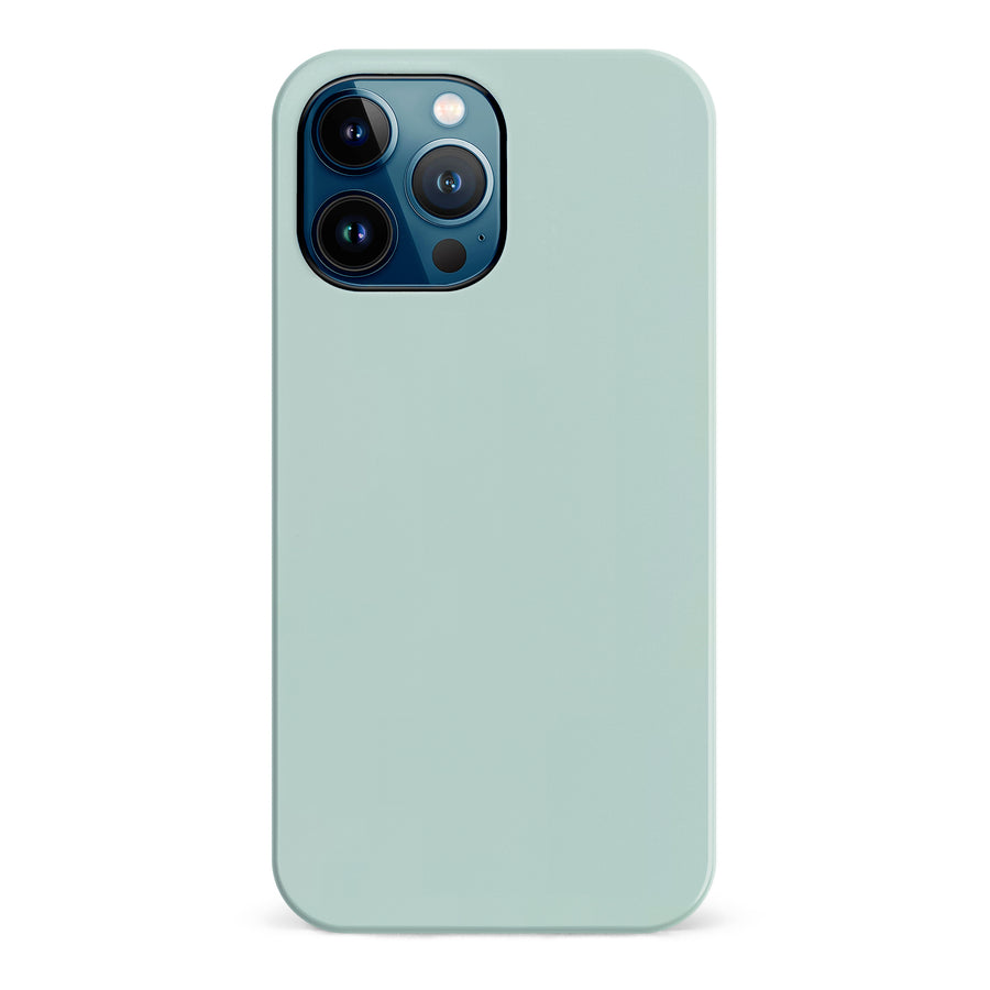 iPhone 12 Pro Max Eucalyptus Colour Trend Phone Case
