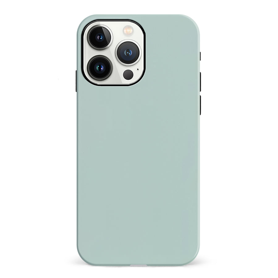 iPhone 13 Pro Eucalyptus Colour Trend Phone Case