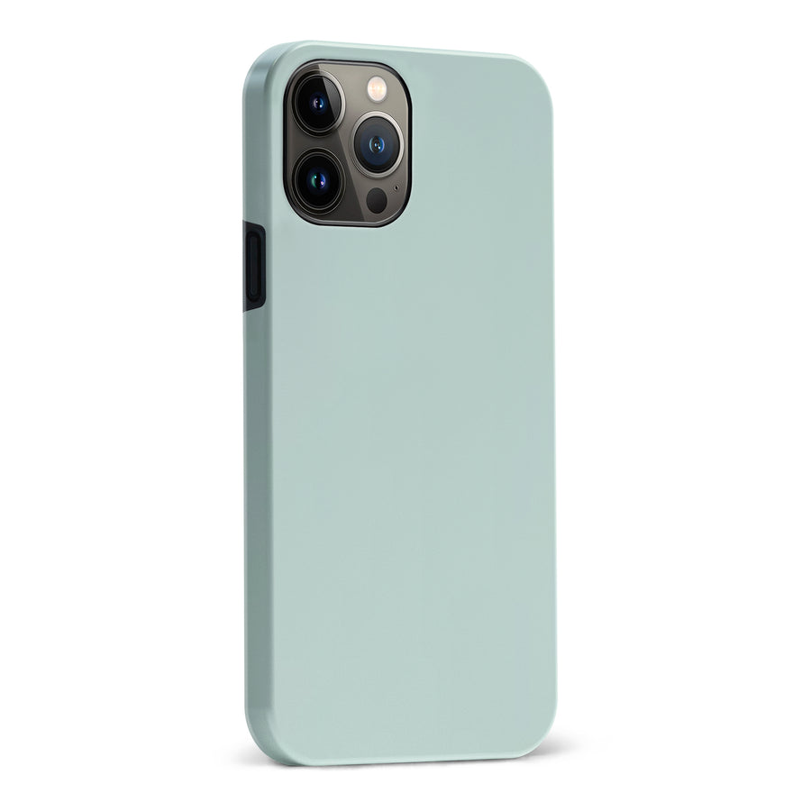 iPhone 13 Pro Max Eucalyptus Colour Trend Phone Case