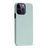 iPhone 14 Pro Max Eucalyptus Colour Trend Phone Case