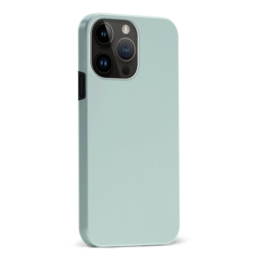 iPhone 15 Pro Max Eucalyptus Colour Trend Phone Case