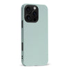 iPhone 16 Pro Max Eucalyptus Colour Trend Phone Case