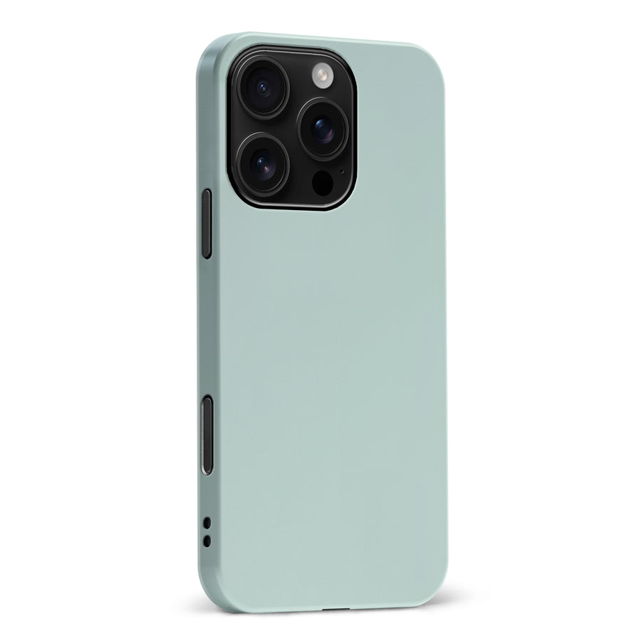 iPhone 16 Pro Max Eucalyptus Colour Trend Phone Case
