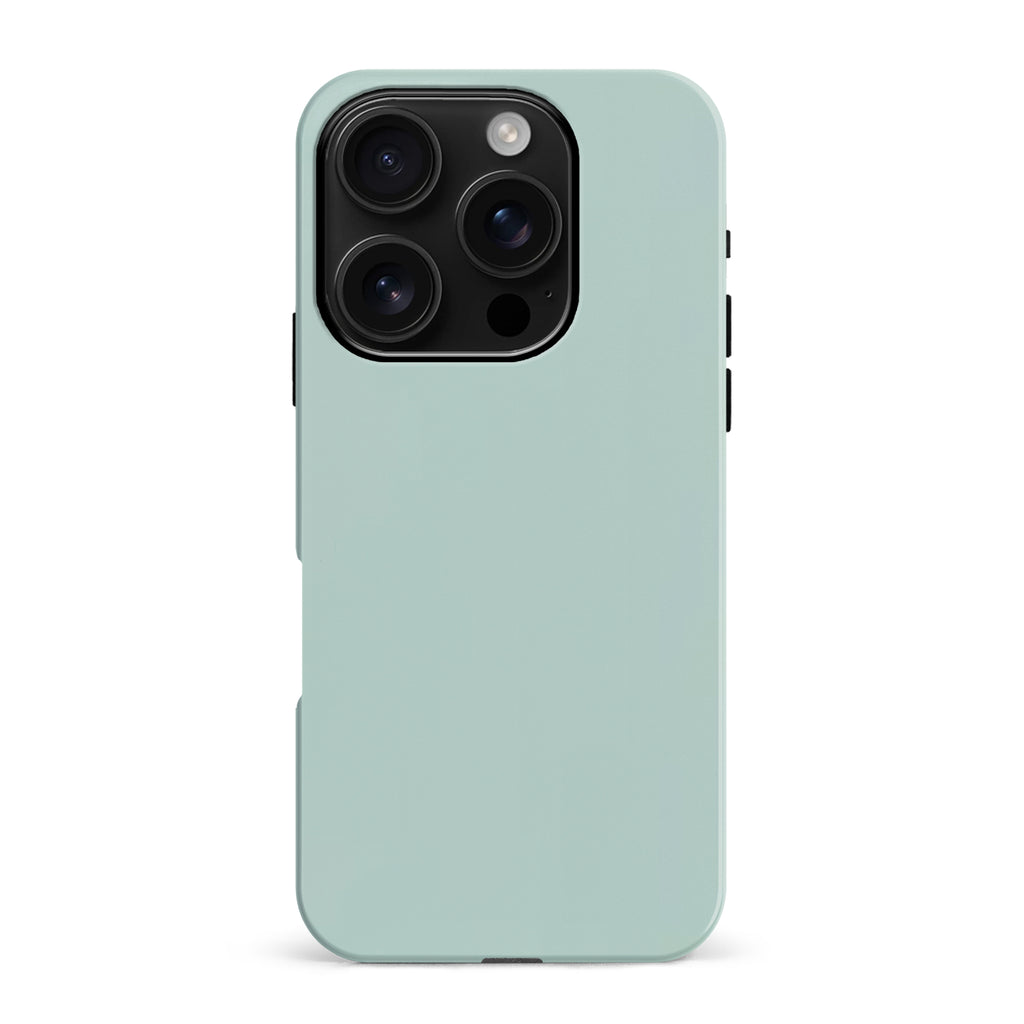 iPhone 16 Pro Max Eucalyptus Colour Trend Phone Case