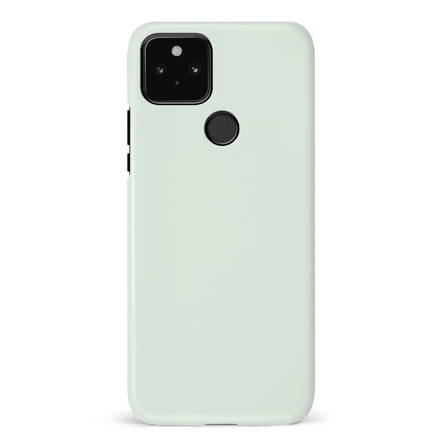 Google Pixel 5 Mint Mist Colour Trend Phone Case