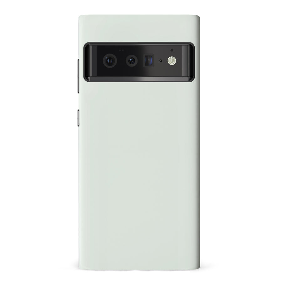 Google Pixel 6 Pro Mint Mist Colour Trend Phone Case