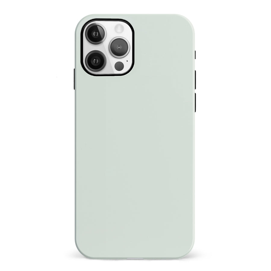 iPhone 12 Mint Mist Colour Trend Phone Case