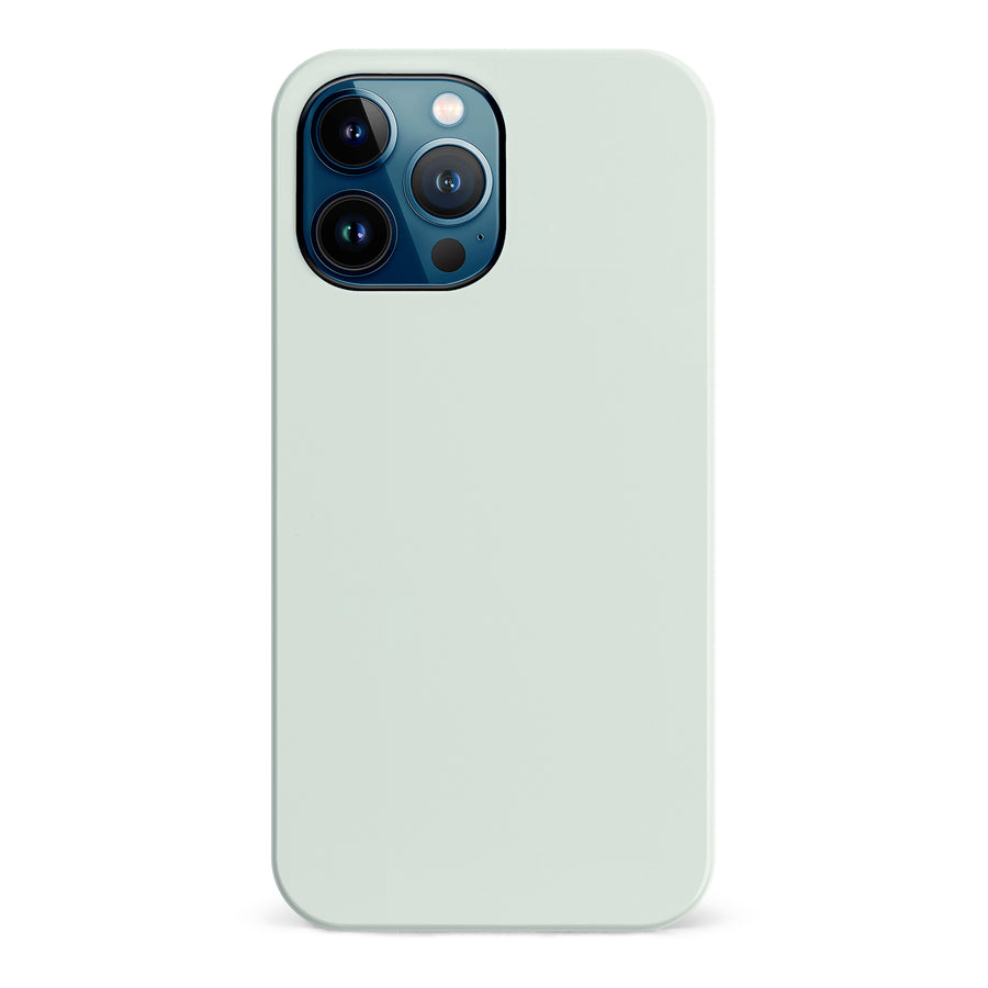 iPhone 12 Pro Max Mint Mist Colour Trend Phone Case
