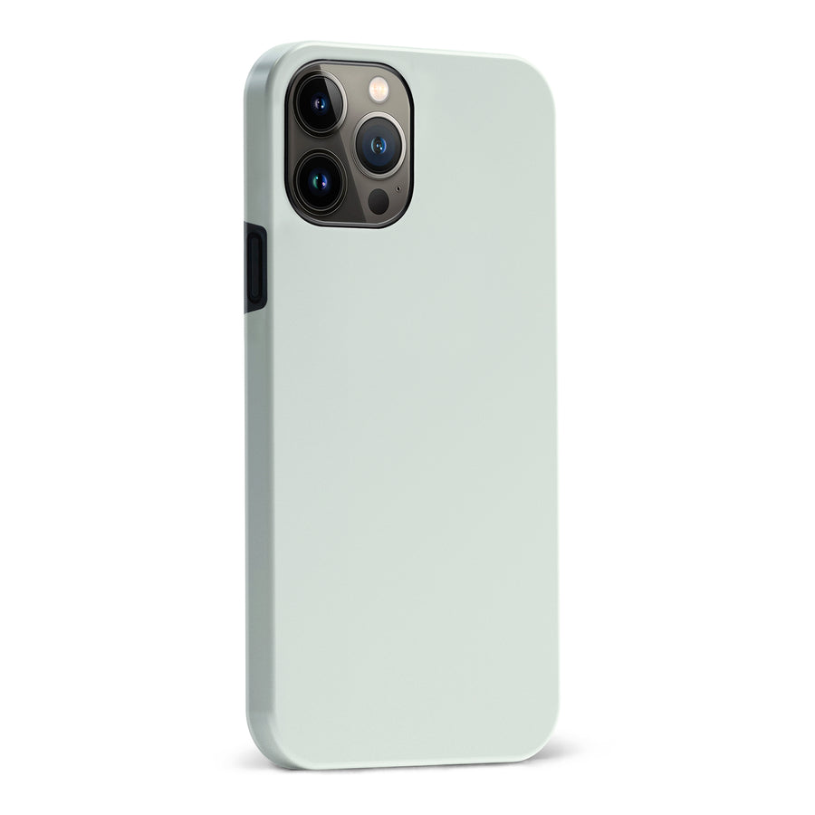iPhone 13 Pro Max Mint Mist Colour Trend Phone Case