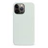 iPhone 13 Pro Max Mint Mist Colour Trend Phone Case