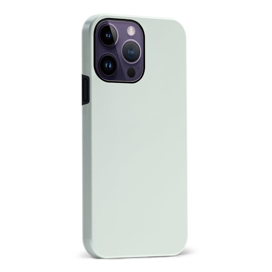 iPhone 14 Pro Max Mint Mist Colour Trend Phone Case
