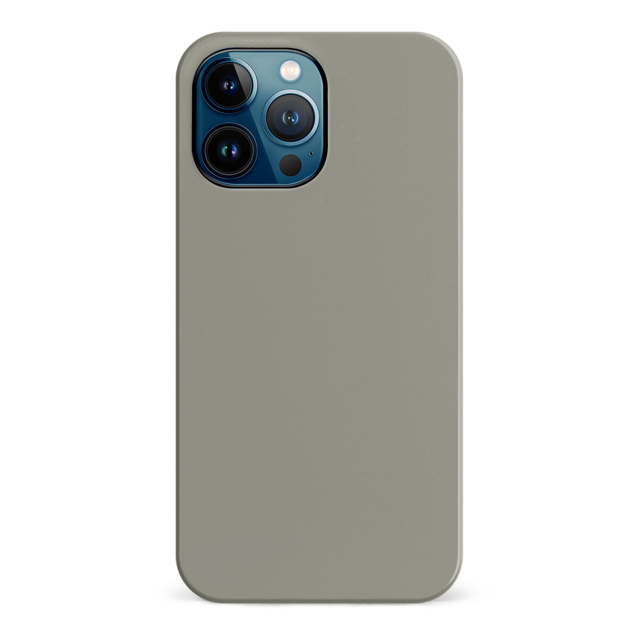 iPhone 12 Pro Max Pewter Prize Colour Trend Phone Case