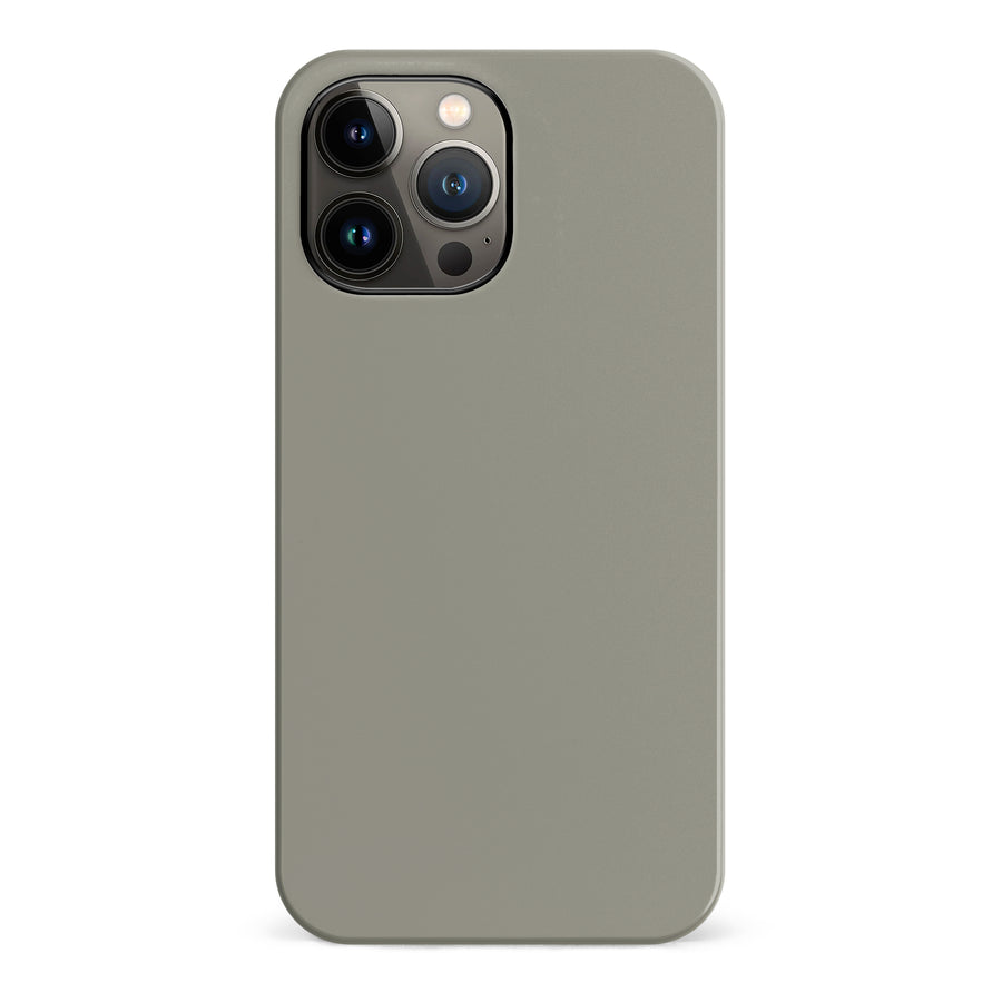 iPhone 13 Pro Max Pewter Prize Colour Trend Phone Case