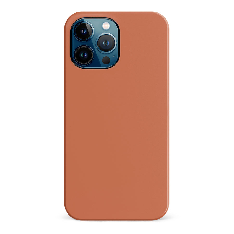 iPhone 12 Pro Max Terracotta Topaz Colour Trend Phone Case