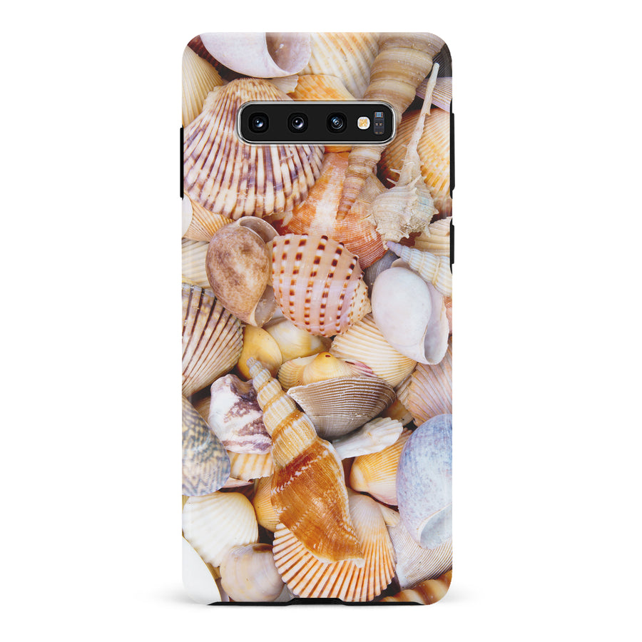Samsung Galaxy S10 Shell and Conch Nature Phone Case