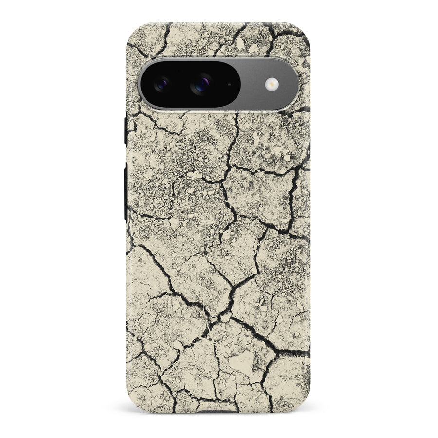 Google Pixel 9 Drought Nature Phone Case