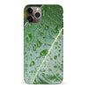 iPhone 11 Pro Max Leaves Nature Phone Case