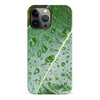 iPhone 13 Pro Max Leaves Nature Phone Case