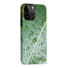 iPhone 15 Pro Max Leaves Nature Phone Case