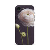 Persian Buttercup Floral Phone Case