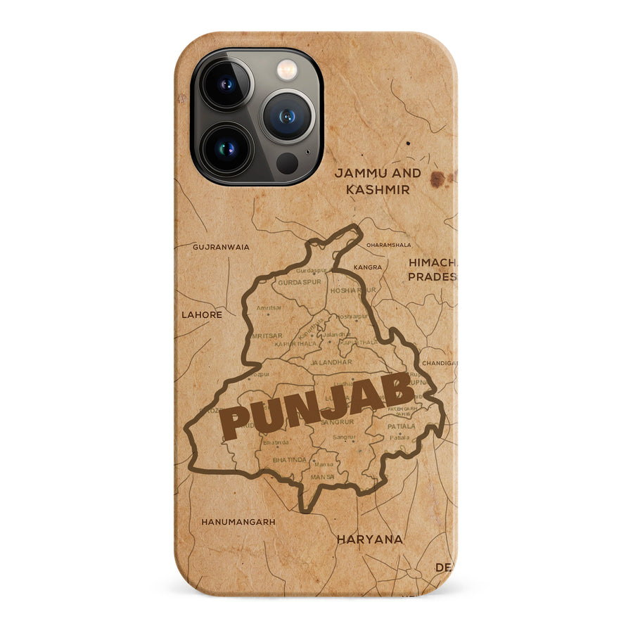 iPhone 13 Pro Max Map of Punjab Phone Case