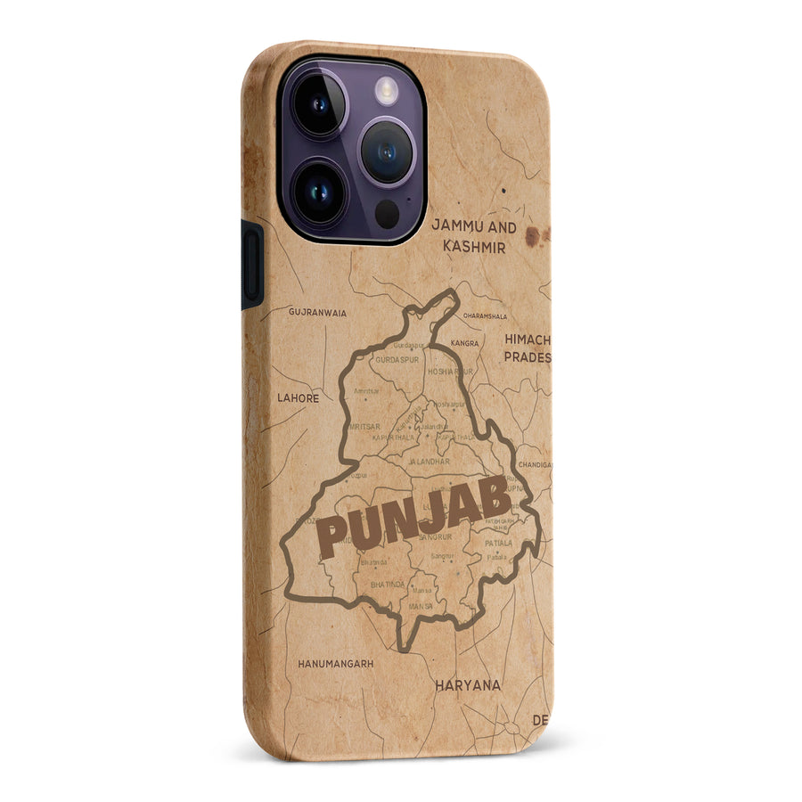 iPhone 14 Pro Max Map of Punjab Phone Case