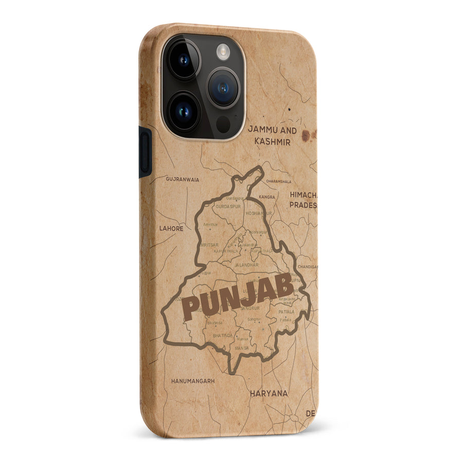 iPhone 15 Pro Max Map of Punjab Phone Case