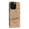 iPhone 16 Pro Max Map of Punjab Phone Case