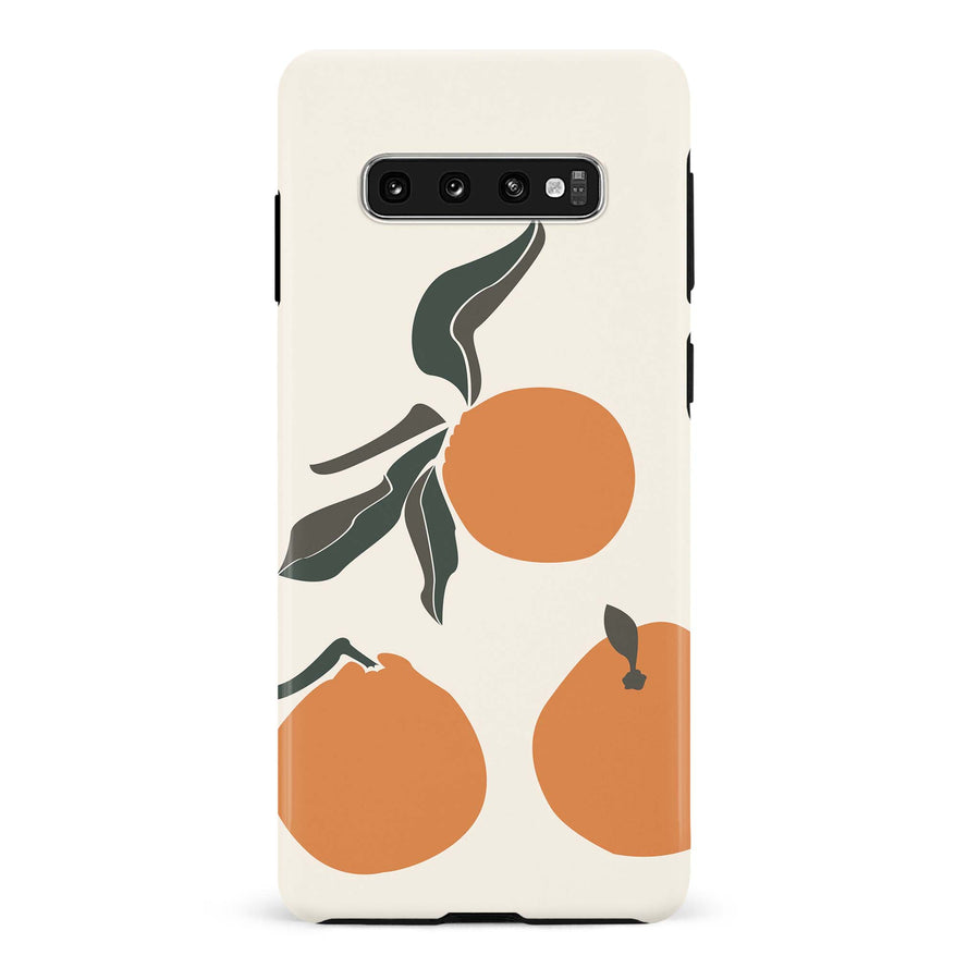 Samsung Galaxy S10 Plus Oranges Phone Case