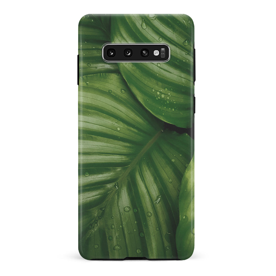 Samsung Galaxy S10 Plus Leafy Lines One Phone Case